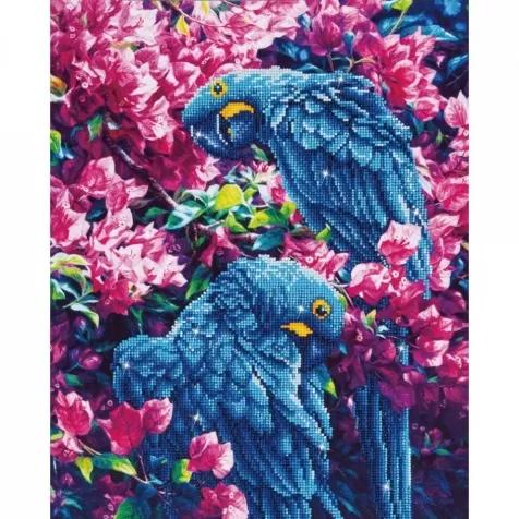 blue parrots - diamond dotz intermediate dd10.002 42x52cm