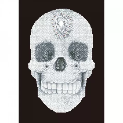 crystal skull - diamond dotz intermediate dd10.021 42x60cm