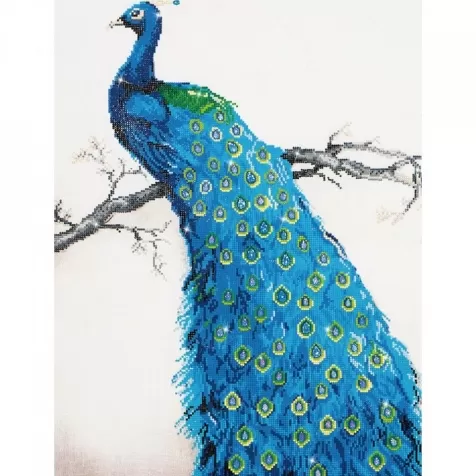 blue peacock - diamond dotz advanced dd13.012 60x84cm