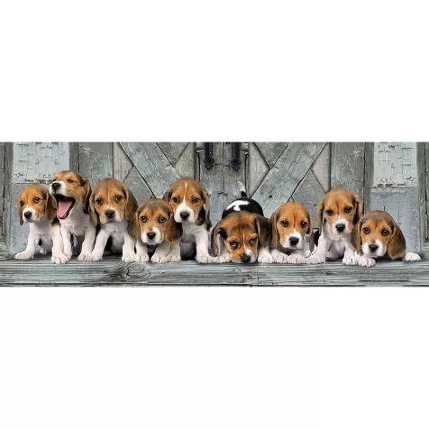 panorama beagles - puzzle 1000 pezzi