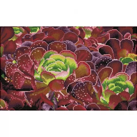 succulents - diamond dotz squares dq9.008 52x32cm