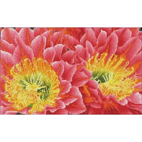 desert blooms - diamond dotz squares dq9.009 52x32cm