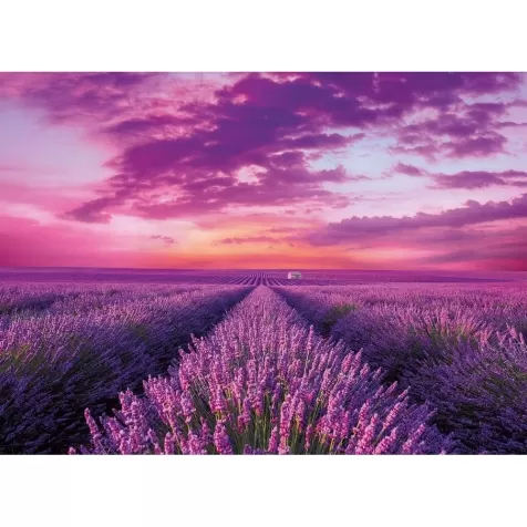 campo di lavanda - puzzle 1000 pezzi