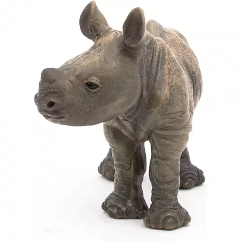 rhinoceros calf 