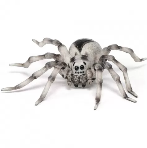 tarantula 