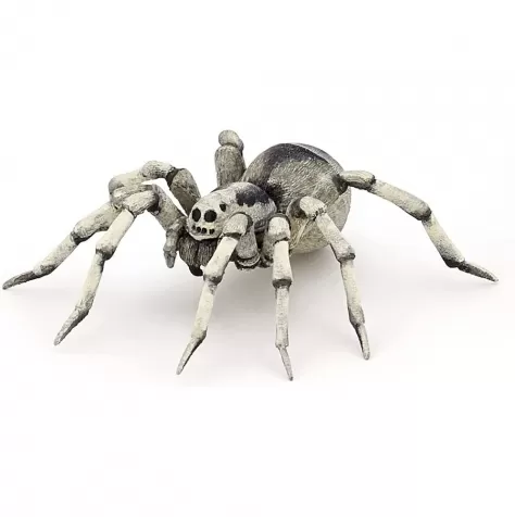 tarantula 