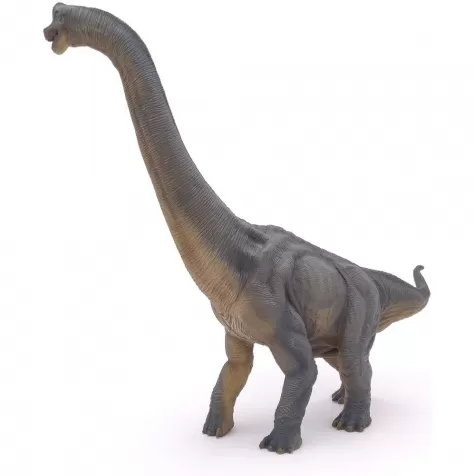 brachiosaurus