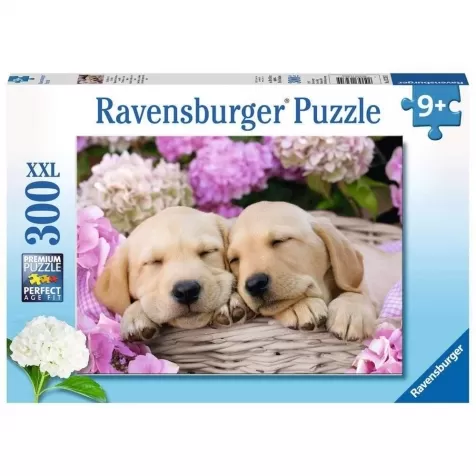 labrador sognanti - puzzle 300 pezzi xxl