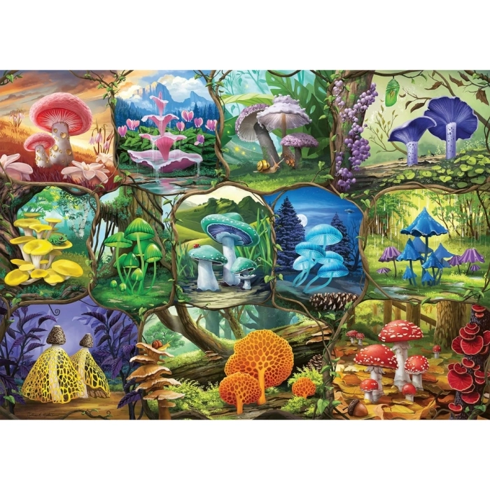 funghi incantevoli - puzzle 1000 pezzi