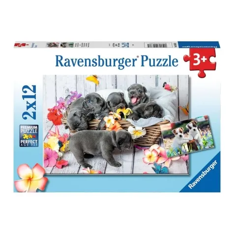 piccole palle di pelo - puzzle 2x12