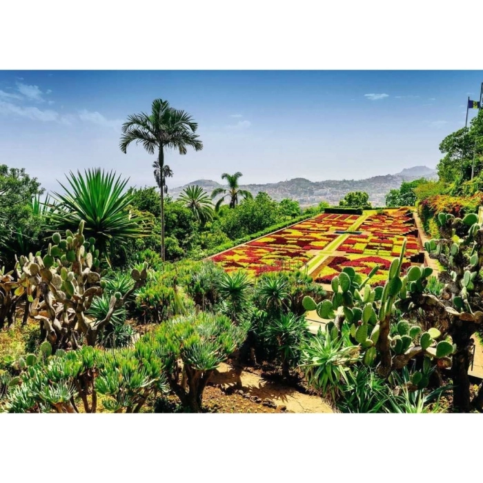 botanical garden, madeira - puzzle 1000 pezzi