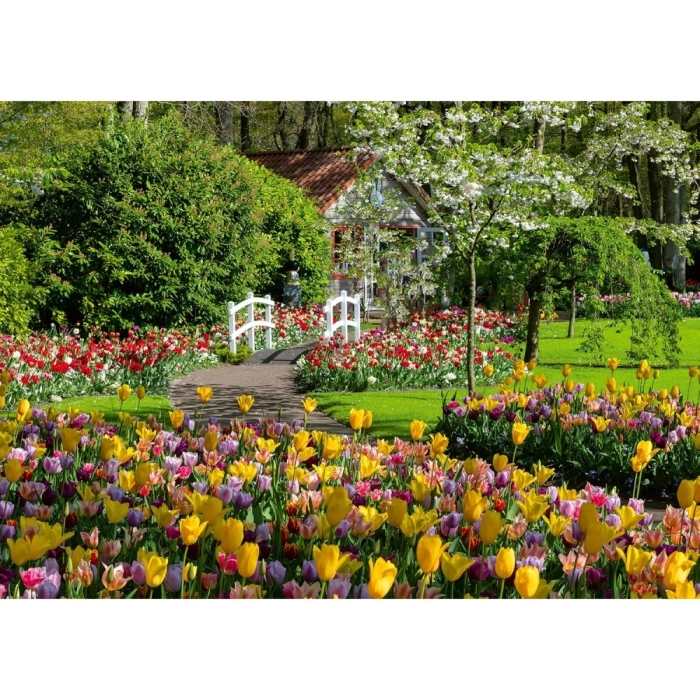 keukenhof gardens netherlands - puzzle 1000 pezzi