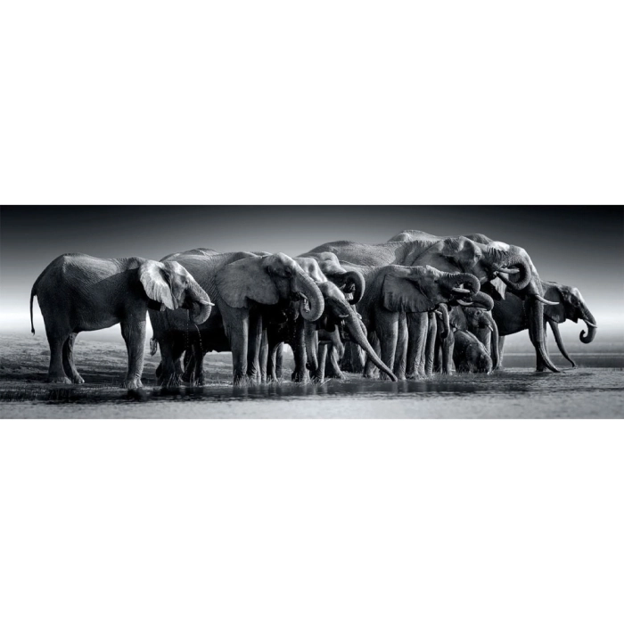 herd of giants - puzzle 1000 pezzi panorama