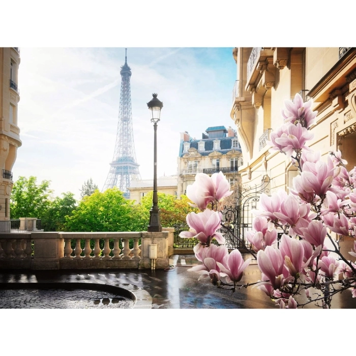 primavera a parigi - puzzle 500 pezzi