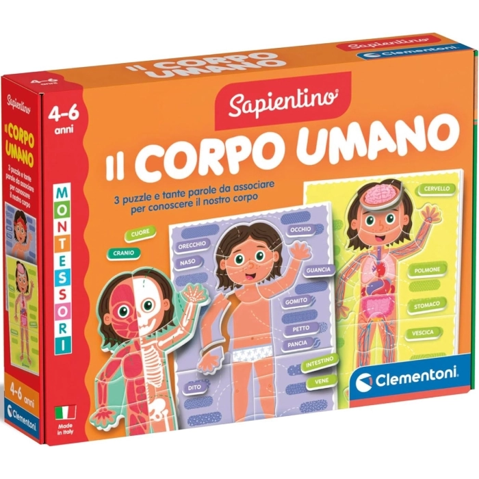 sapientino montessori - il corpo umano