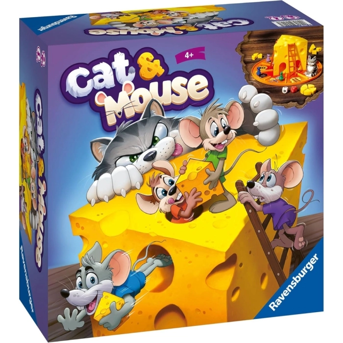 cat and mouse