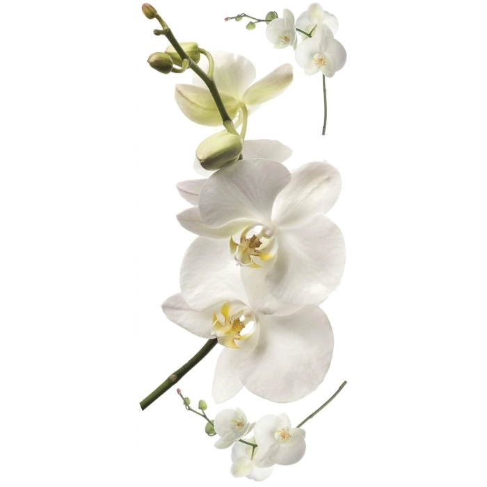 white orchid - adesivo removibile da parete