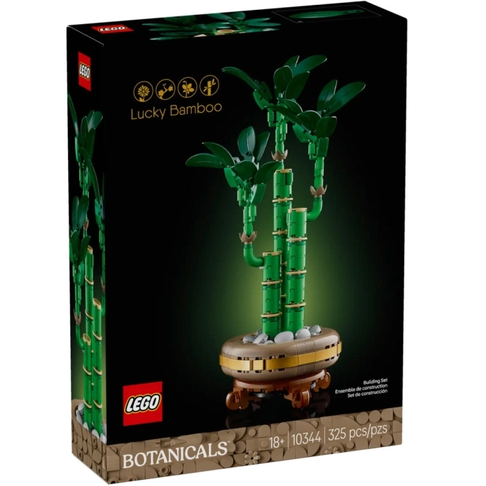 10344 - bambu del buon auspicio