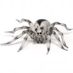 tarantula 