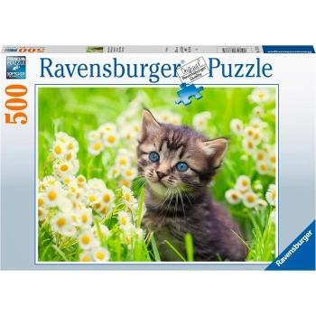 gattino nel prato - puzzle 500 pezzi