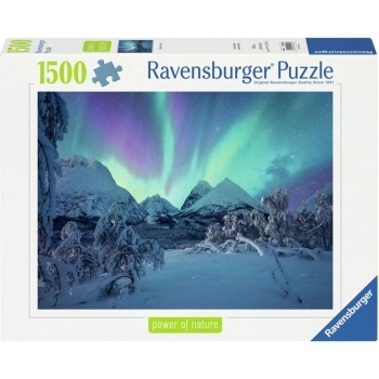 the arctic show - puzzle 1500 pezzi