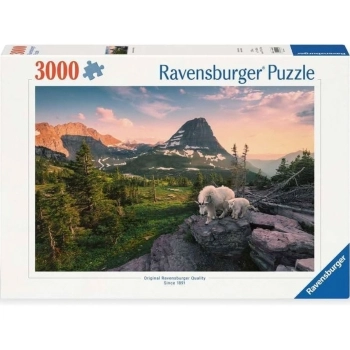 capra e capretta alpina - puzzle 3000 pezzi