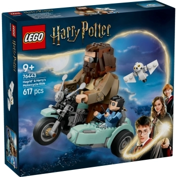 76443 - giro sul sidecar di hagrid e harry